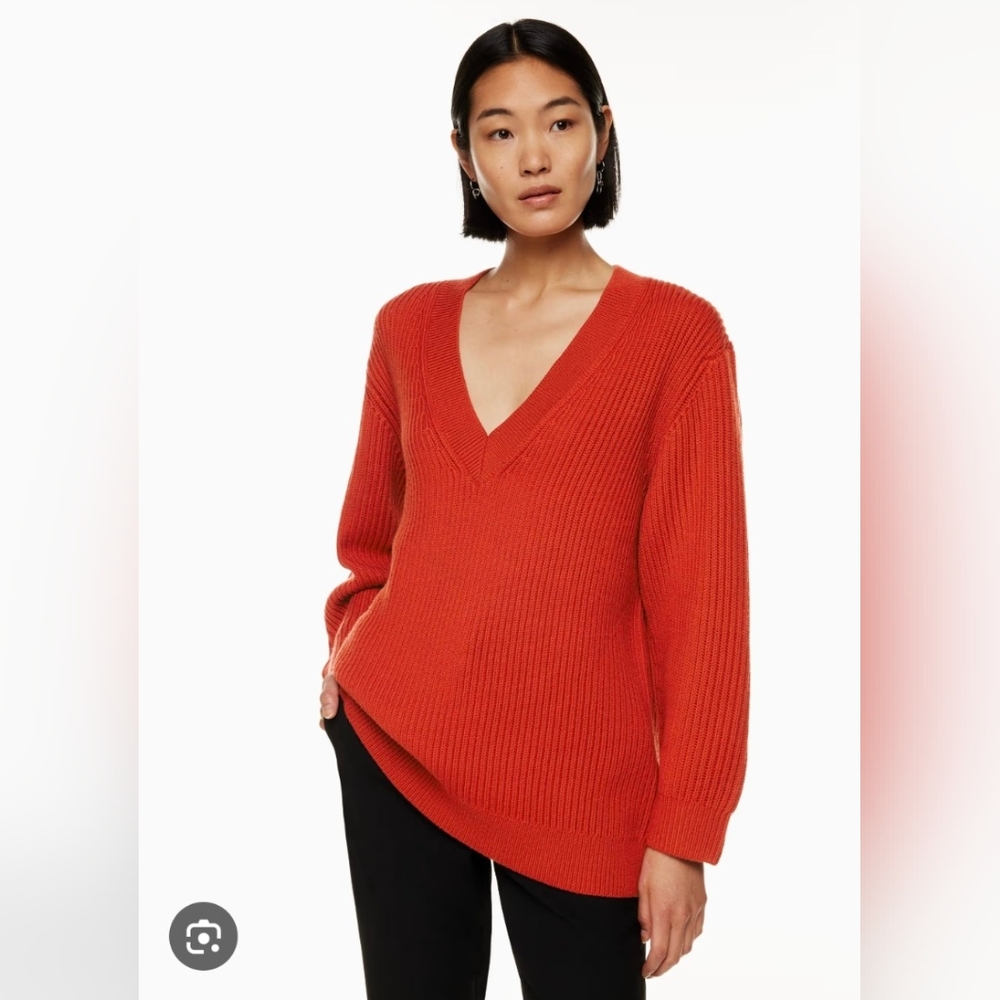 Aritzia Babaton 100% Merino Wool Roger Relaxed V Neck Sweater